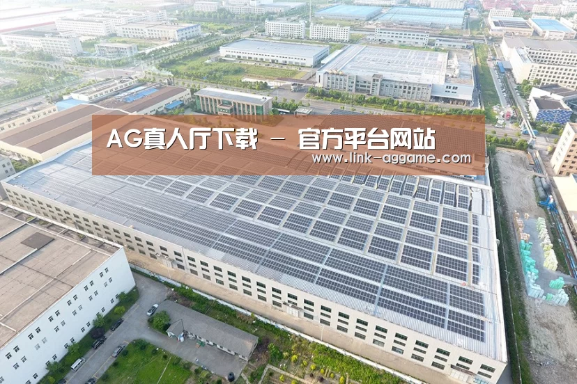 案例展示一