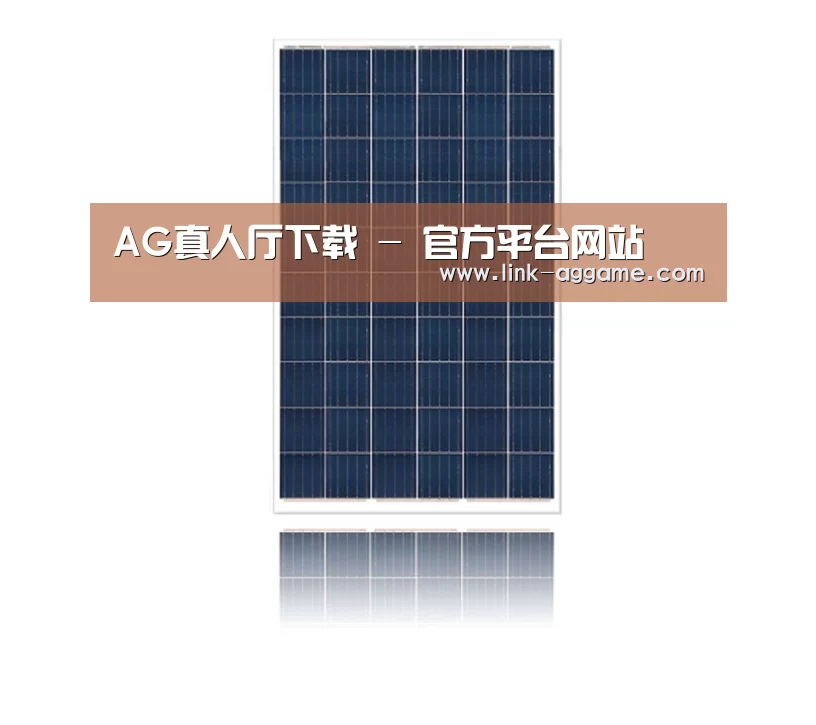 产品名称一