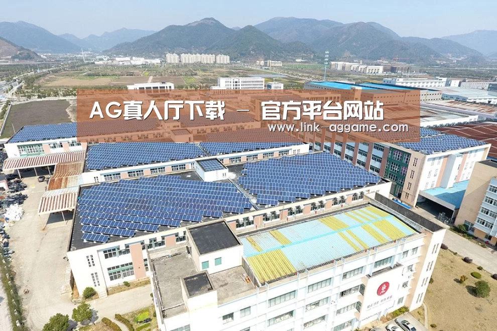 案例展示四