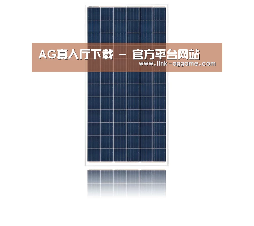 产品名称一