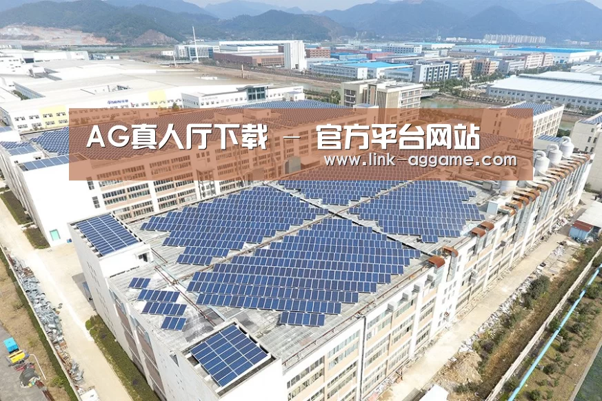 案例展示二