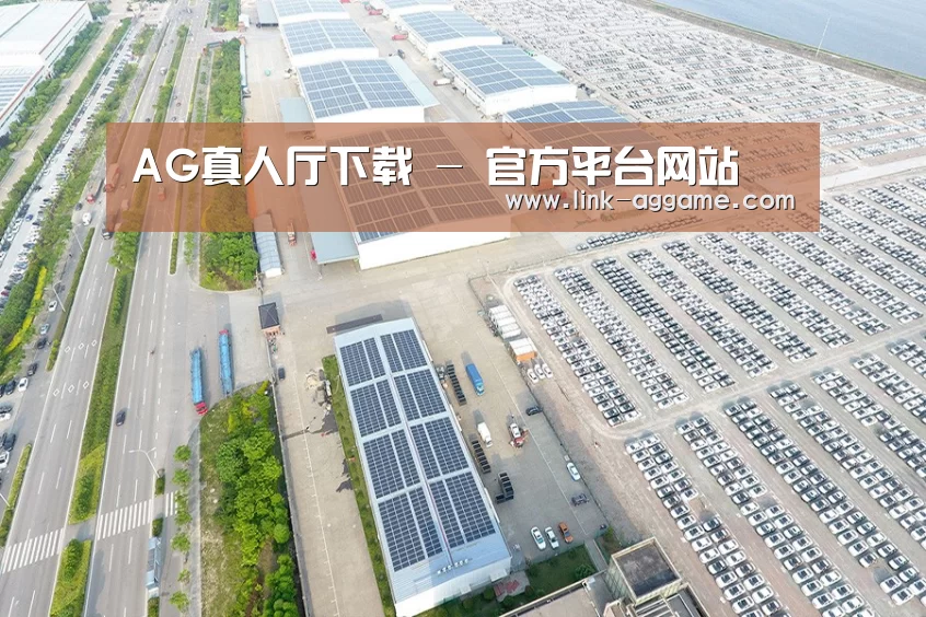 案例展示四