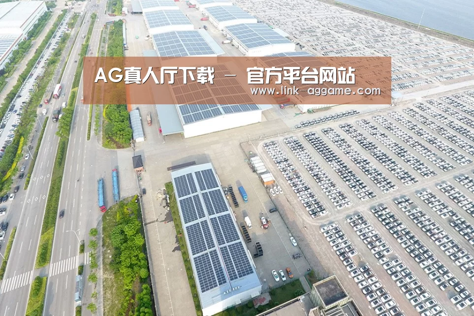 案例展示三