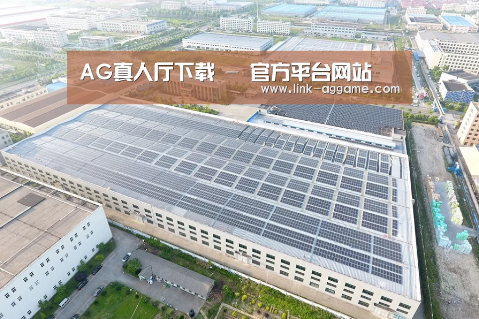 案例展示四