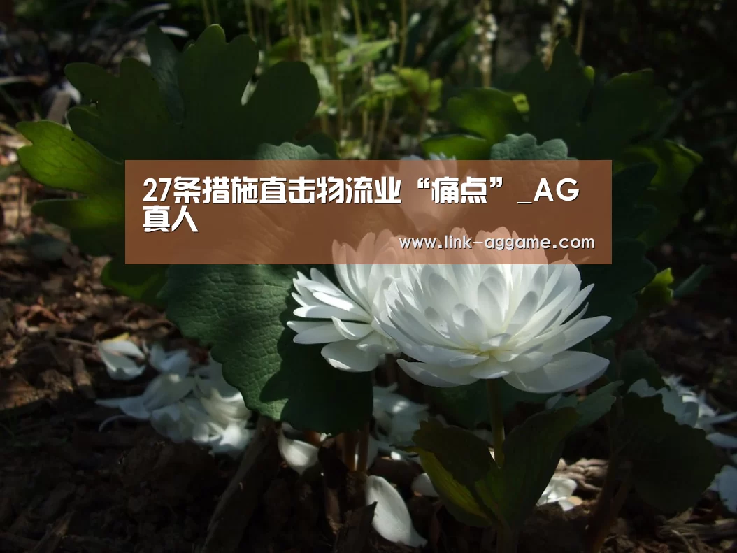 27条措施直击物流业“痛点”_AG真人(图3)
