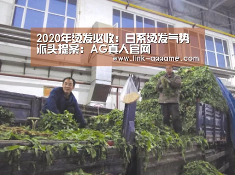 2020年烫发必收:日系烫发气势派头提案:AG真人官网(图1) AG真人
