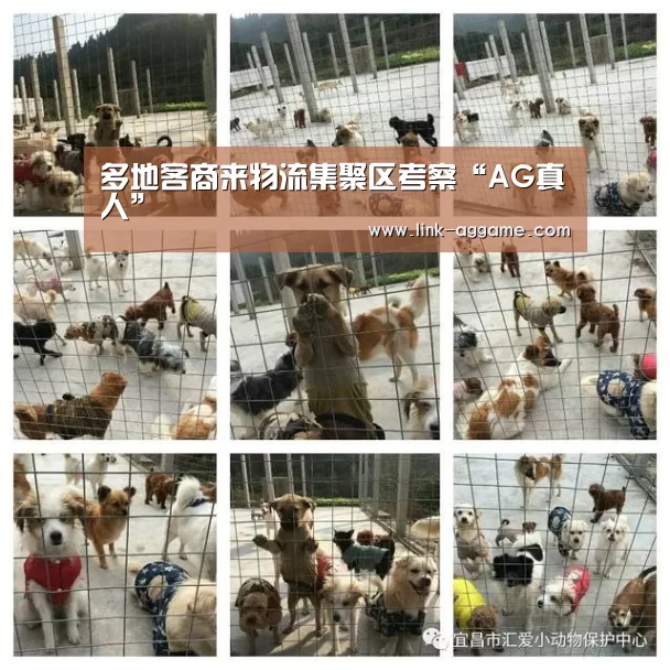 多地客商来物流集聚区考察“AG真人”(图1) AG真人