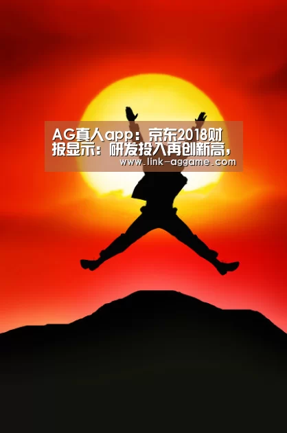 AG真人app：京东2018财报显示：研发投入再创新高，技术让京东的成长坚定且自信...(图1)