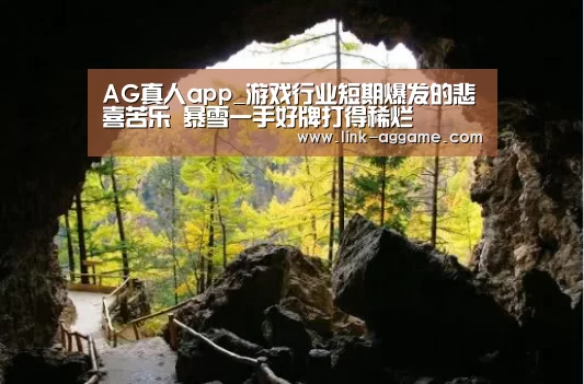 AG真人app_游戏行业短期爆发的悲喜苦乐 暴雪一手好牌打得稀烂(图3) AG真人app