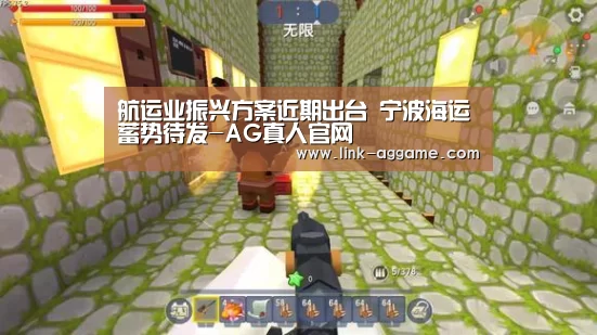 航运业振兴方案近期出台 宁波海运蓄势待发-AG真人官网(图2) AG真人app