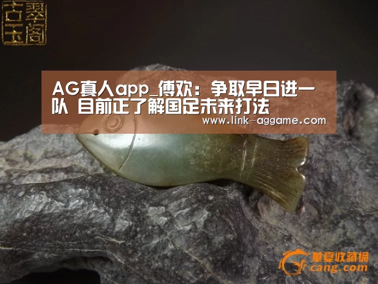 AG真人app_傅欢:争取早日进一队 目前正了解国足未来打法(图3) AG真人