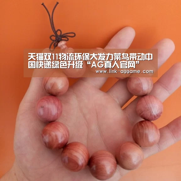 天猫双11物流环保大发力菜鸟带动中国快递