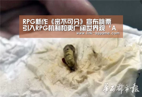RPG新作《密不可分》宣布跳票 引入RP